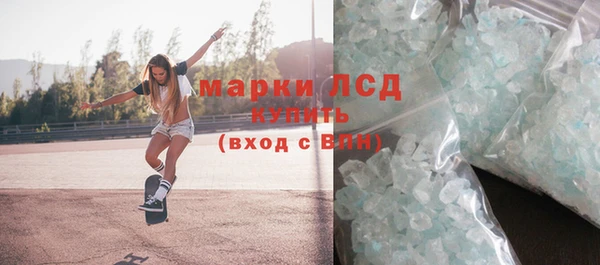 стаф Каменка